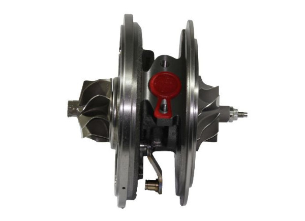 RDZEŃ KORAS CHRA GTCHRA-0482