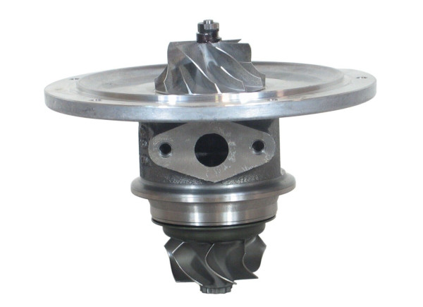 RDZEŃ KORAS CHRA GTCHRA-0484