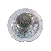 RDZEŃ KORAS CHRA GTCHRA-0484