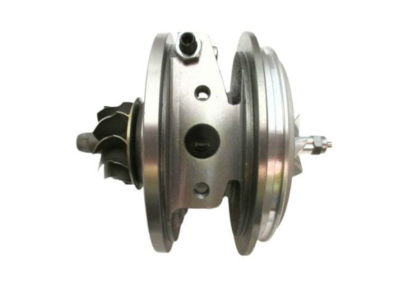 RDZEŃ KORAS CHRA GTCHRA-0489