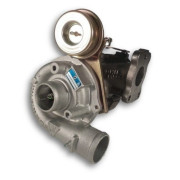 RDZEŃ KORAS CHRA GTCHRA-0520