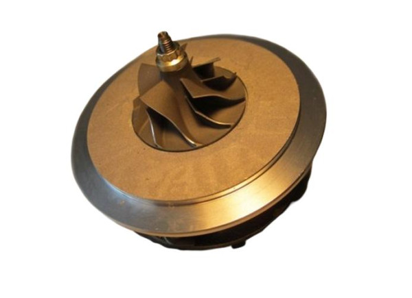 RDZEŃ KORAS CHRA GTCHRA-0005