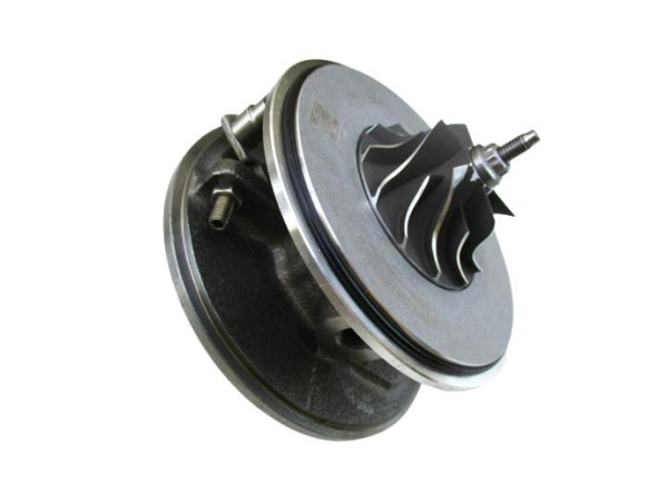 RDZEŃ KORAS CHRA GTCHRA-0017