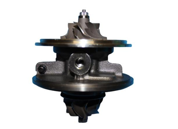 RDZEŃ KORAS CHRA GTCHRA-0018