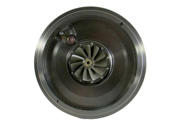 RDZEŃ KORAS CHRA GTCHRA-0029