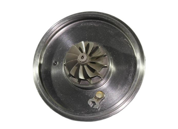 RDZEŃ KORAS CHRA GTCHRA-0032