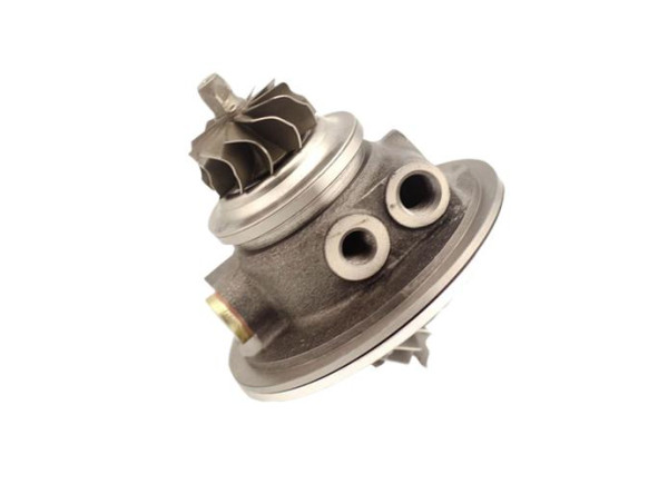 RDZEŃ KORAS CHRA GTCHRA-0038