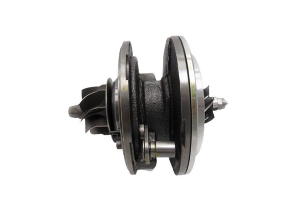 RDZEŃ KORAS CHRA GTCHRA-0048