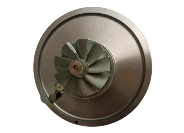 RDZEŃ KORAS CHRA GTCHRA-0059