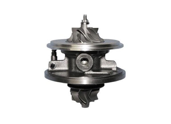 RDZEŃ KORAS CHRA GTCHRA-0069