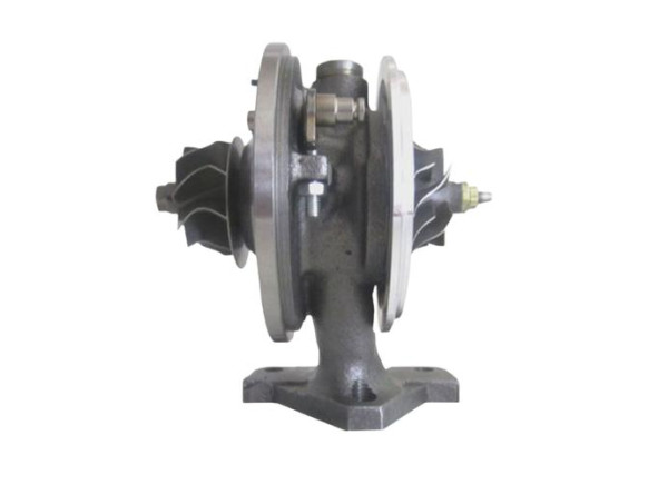 RDZEŃ KORAS CHRA GTCHRA-0076