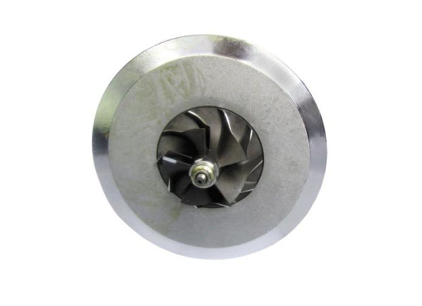 RDZEŃ KORAS CHRA GTCHRA-0078