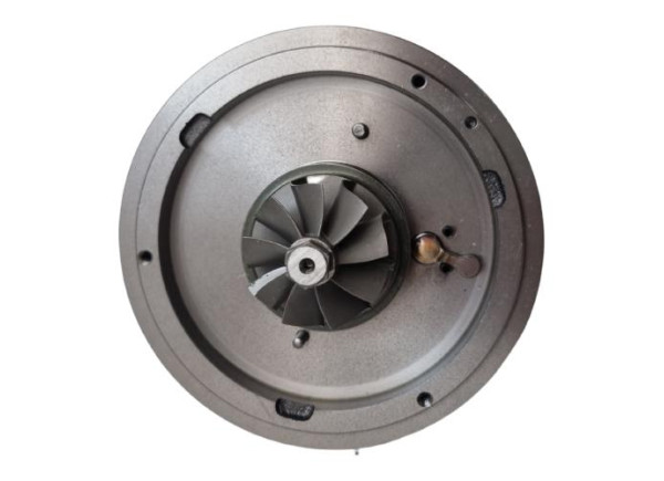 RDZEŃ KORAS CHRA GTCHRA-0129