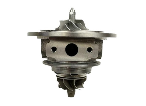 RDZEŃ KORAS CHRA GTCHRA-0134