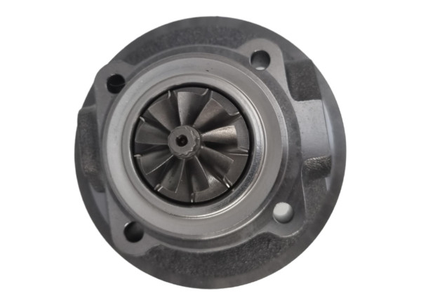 RDZEŃ KORAS CHRA GTCHRA-0141