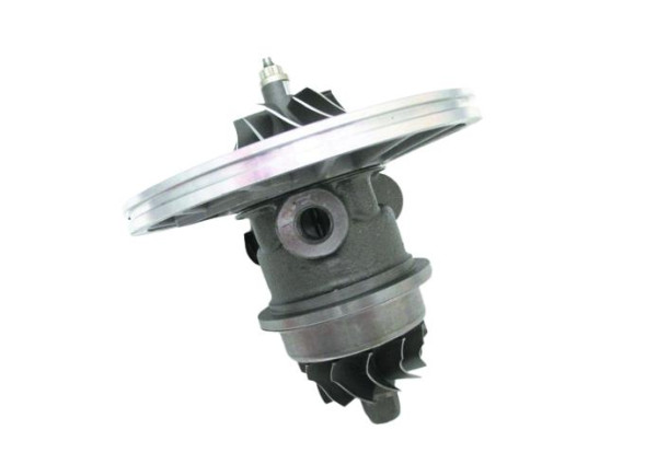 RDZEŃ KORAS CHRA GTCHRA-0143