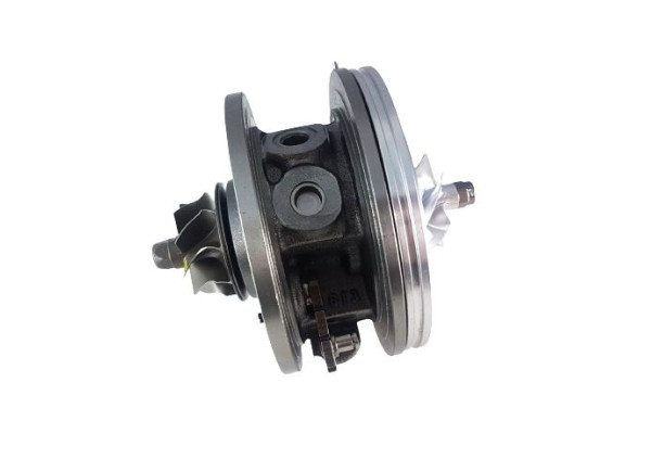 RDZEŃ KORAS CHRA GTCHRA-0156