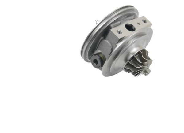 RDZEŃ KORAS CHRA GTCHRA-0165