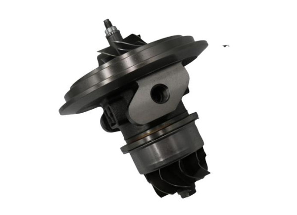 RDZEŃ KORAS CHRA GTCHRA-0266