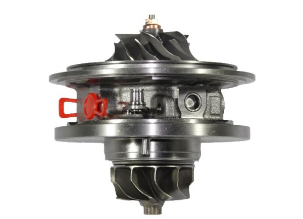 RDZEŃ KORAS CHRA GTCHRA-0278