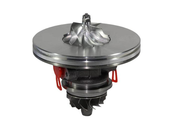 RDZEŃ KORAS CHRA GTCHRA-0295