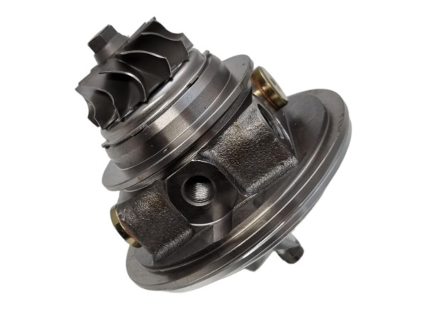 RDZEŃ KORAS CHRA GTCHRA-0339