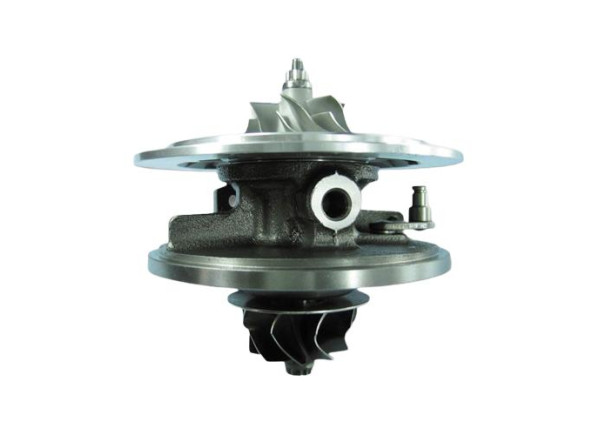 RDZEŃ KORAS CHRA GTCHRA-0346