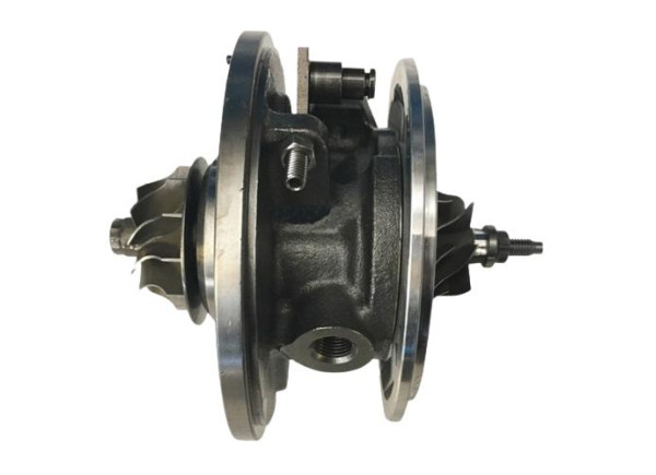 RDZEŃ KORAS CHRA GTCHRA-0348