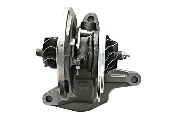 RDZEŃ KORAS CHRA GTCHRA-0357