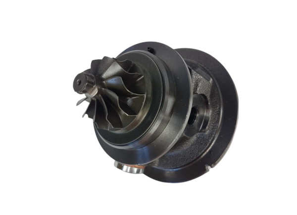 RDZEŃ KORAS CHRA GTCHRA-0368