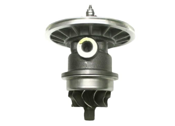 RDZEŃ KORAS CHRA GTCHRA-0638