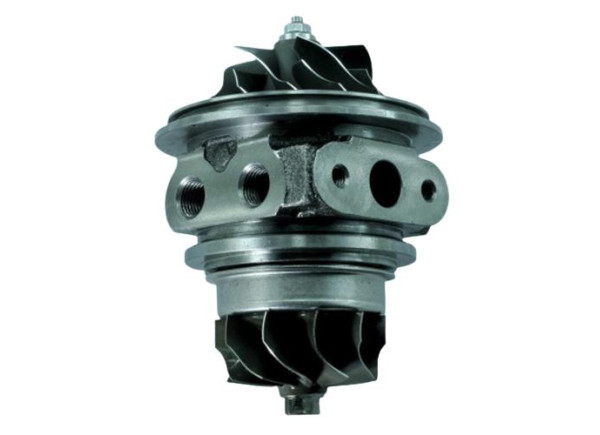 RDZEŃ KORAS CHRA GTCHRA-0646