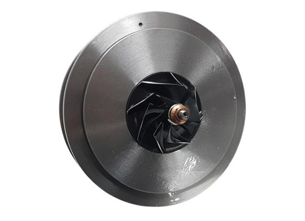 RDZEŃ KORAS CHRA GTCHRA-0649