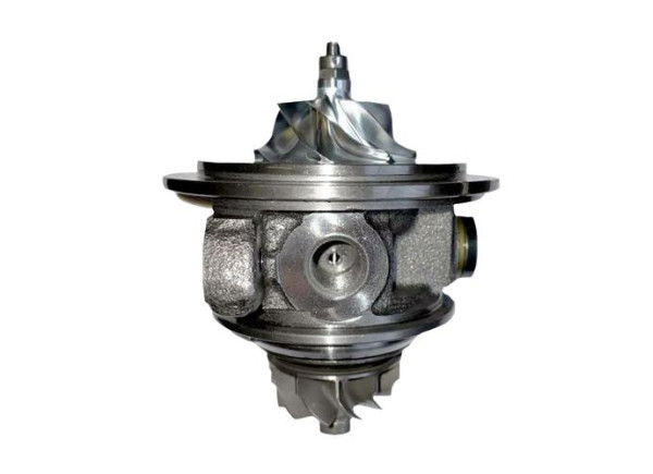 RDZEŃ KORAS CHRA GTCHRA-0491