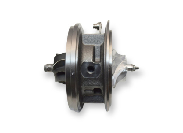 RDZEŃ KORAS CHRA GTCHRA-0495