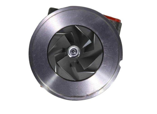 RDZEŃ KORAS CHRA GTCHRA-0572