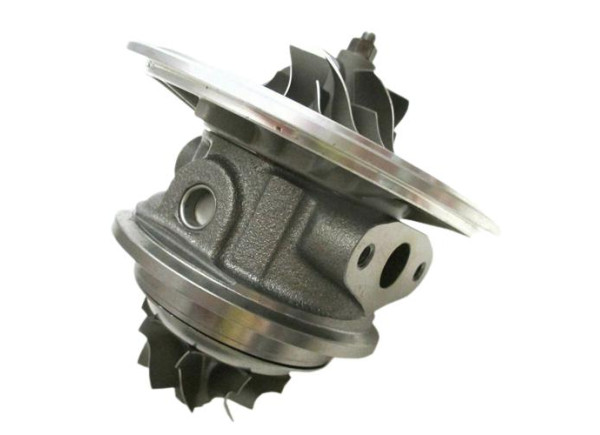 RDZEŃ KORAS CHRA GTCHRA-0576