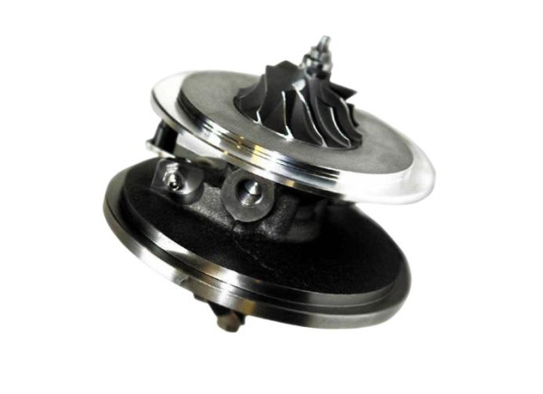 RDZEŃ KORAS CHRA GTCHRA-0588