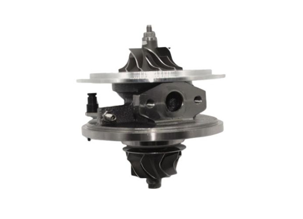 RDZEŃ KORAS CHRA GTCHRA-0609