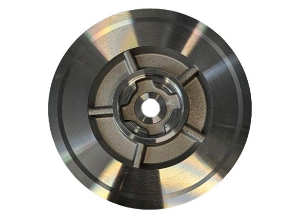 Talerzyk Back Plate Seal Plate GTBP-0029