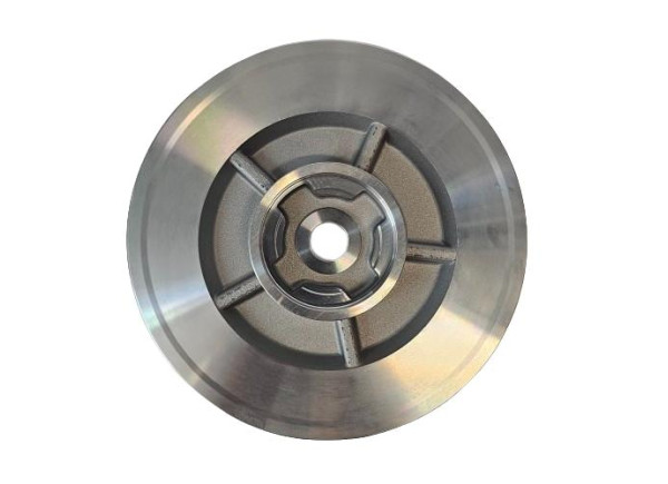 Talerzyk Back Plate Seal Plate GTBP-0030