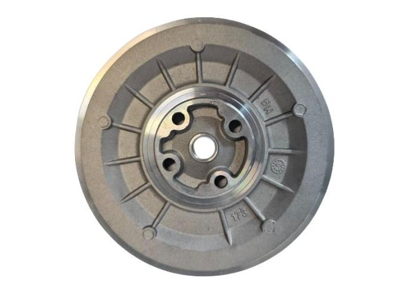 Talerzyk Back Plate Seal Plate GTBP-0053