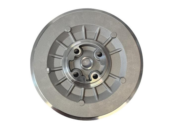 Talerzyk Back Plate Seal Plate GTBP-0005