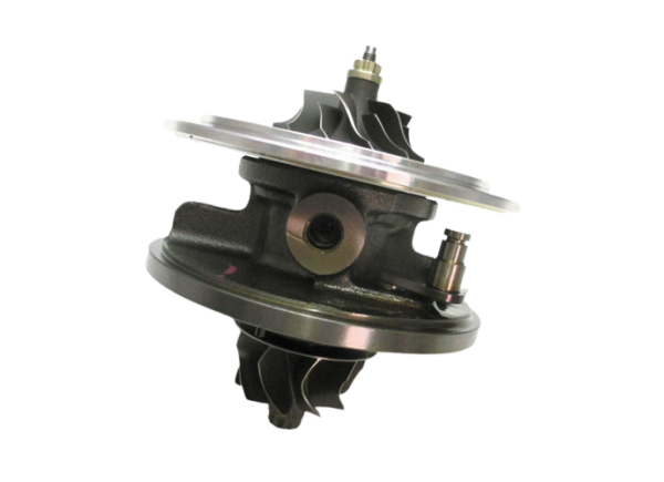 RDZEŃ KORAS CHRA GTCHRA-0665