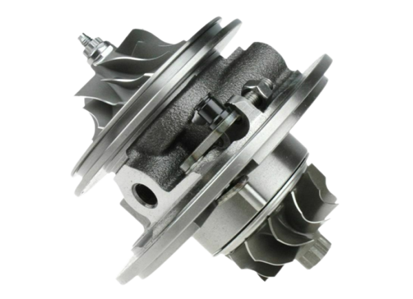 RDZEŃ KORAS CHRA GTCHRA-0671